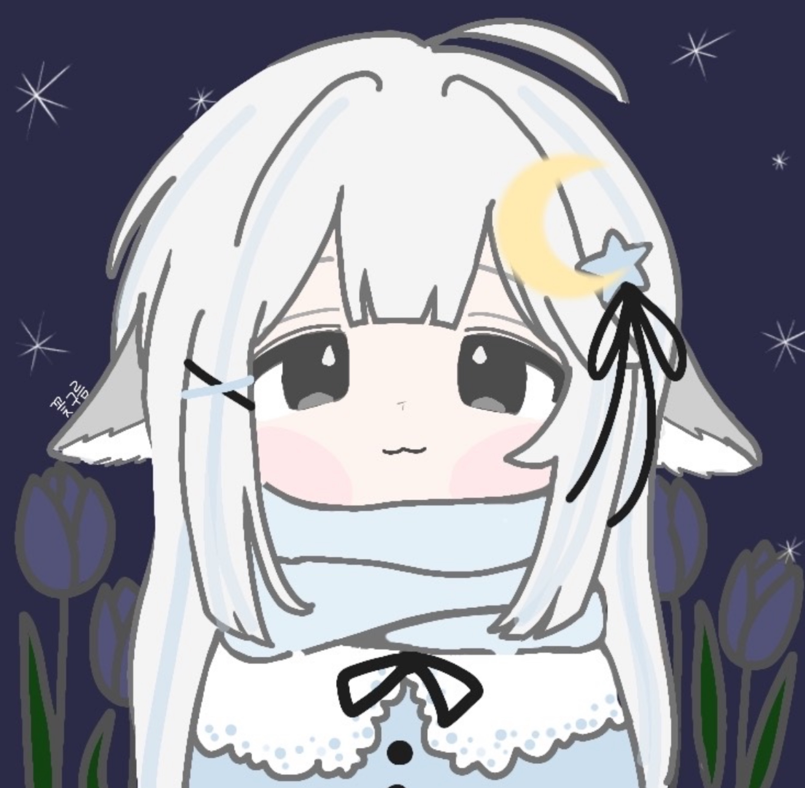 꽃구름 ☽₊˙⋆