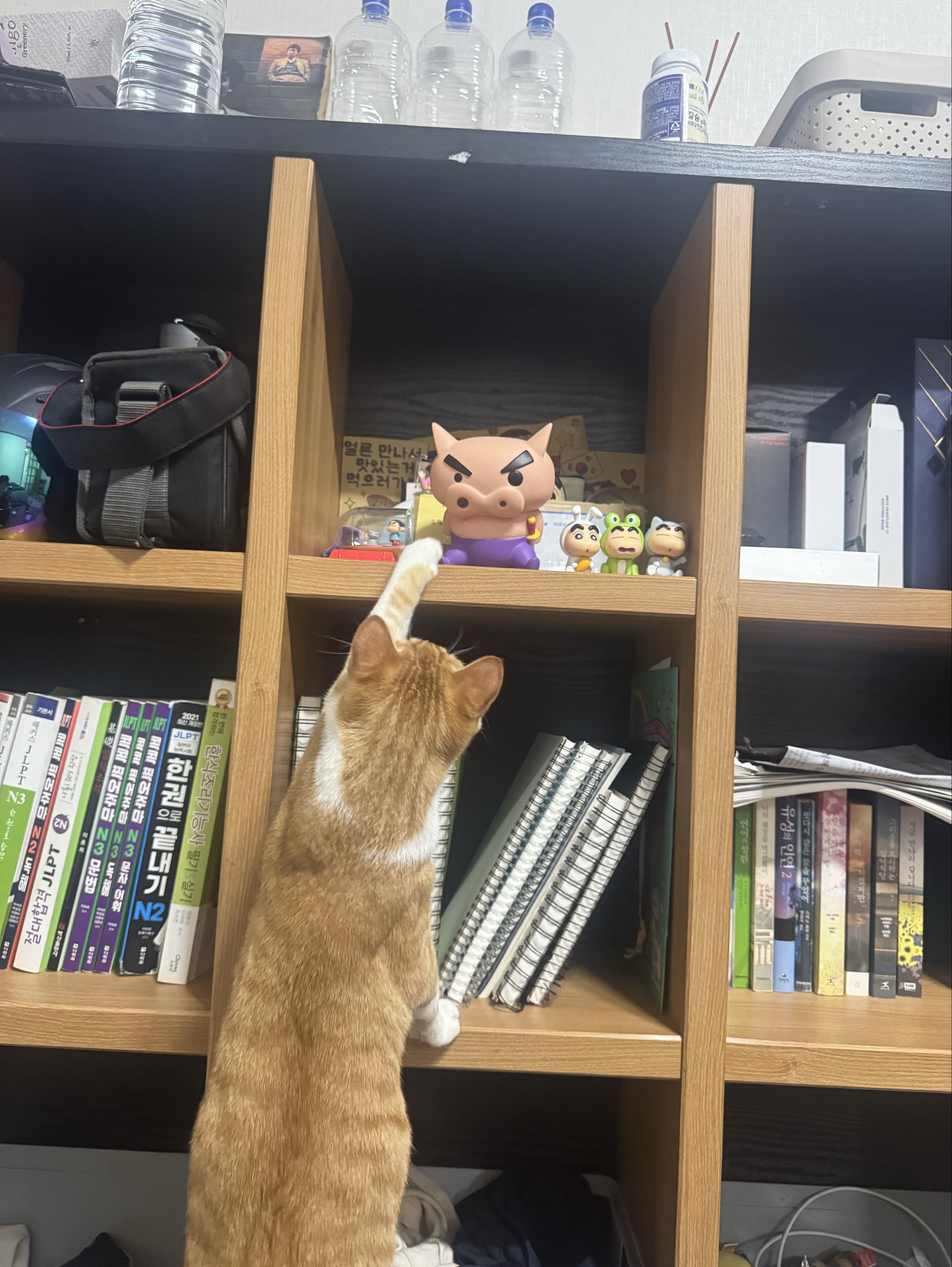 𝕄𝕠𝕠𝕕 ᵐᵈ