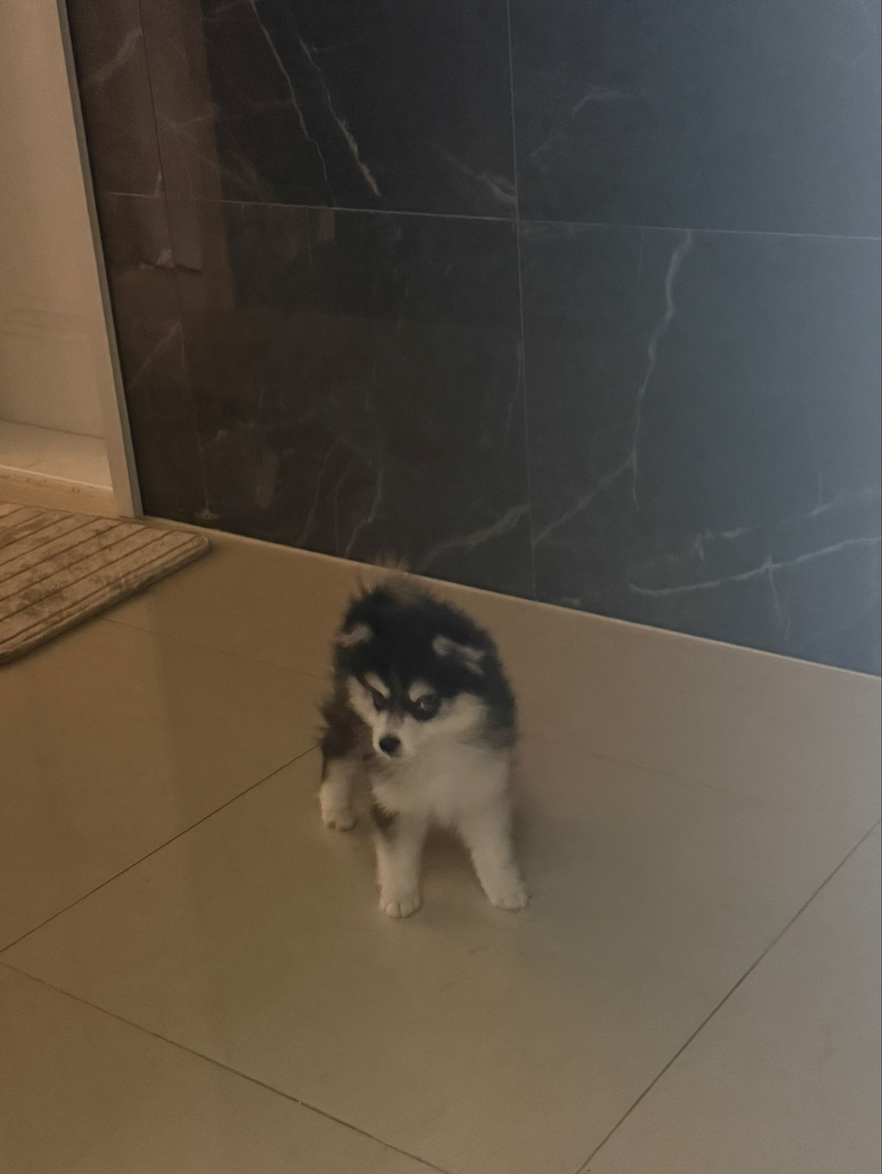 👶🏻 𝐈𝐃: 아 이 디 