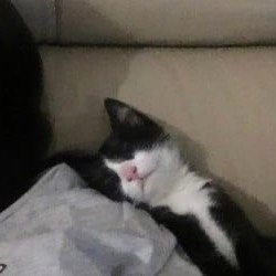 曉