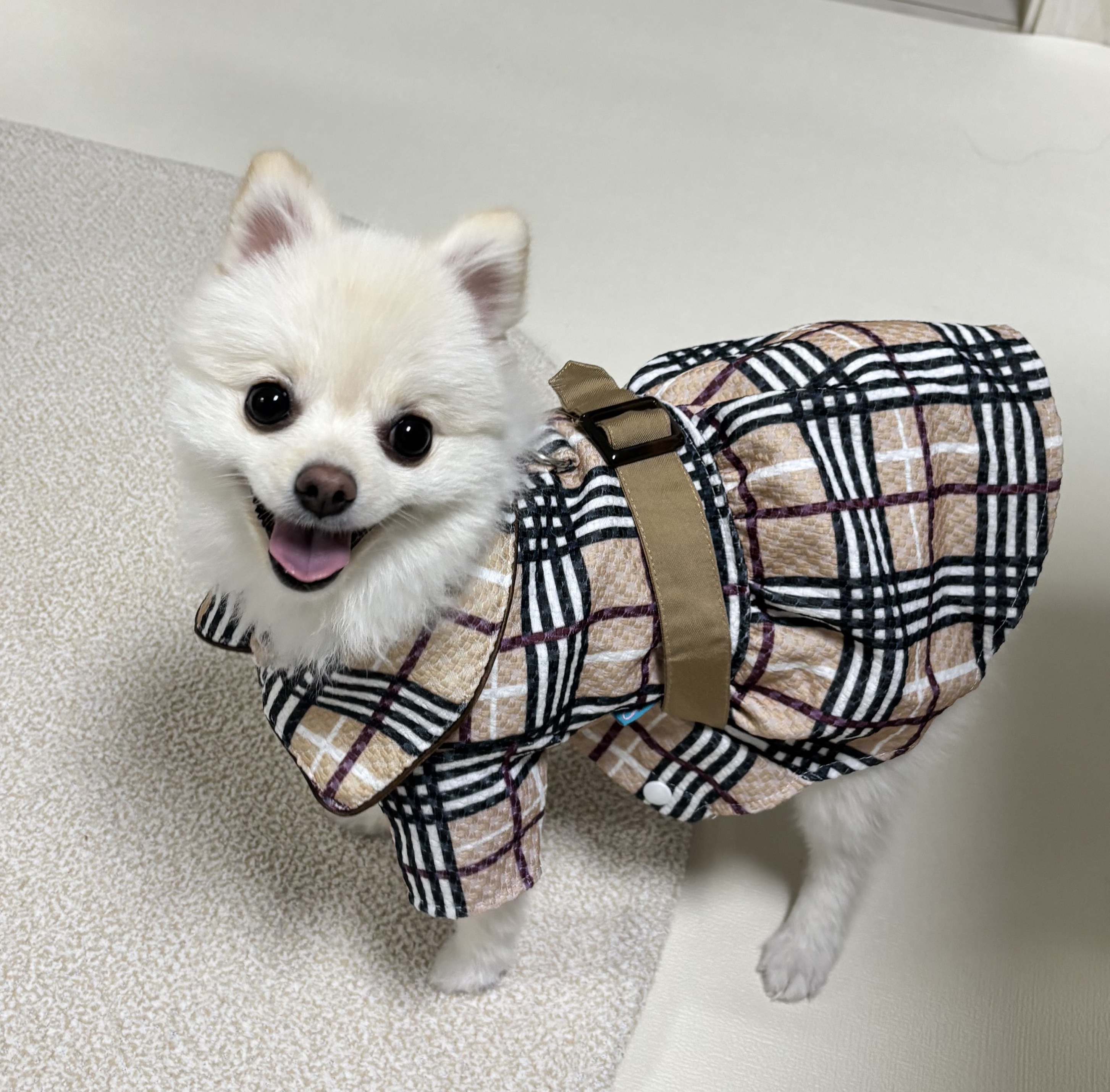 귀신꿍꼬또 이하루