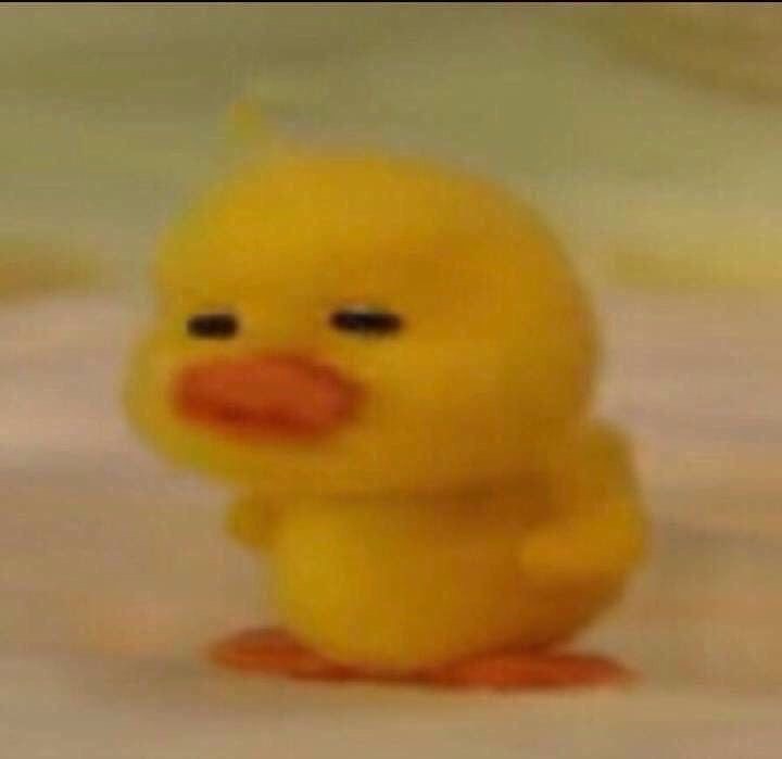 병아리는삐약