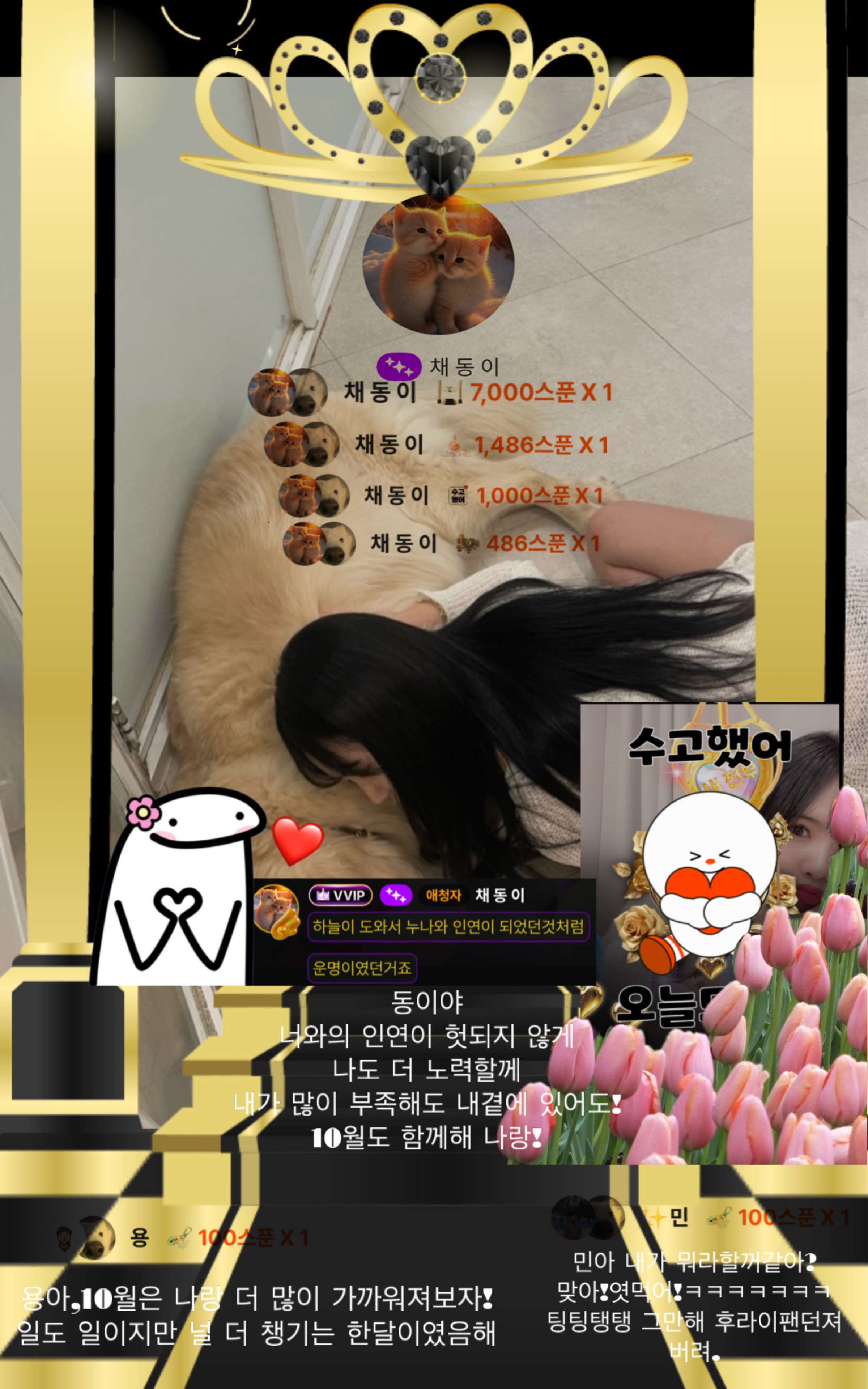 채 디 나
