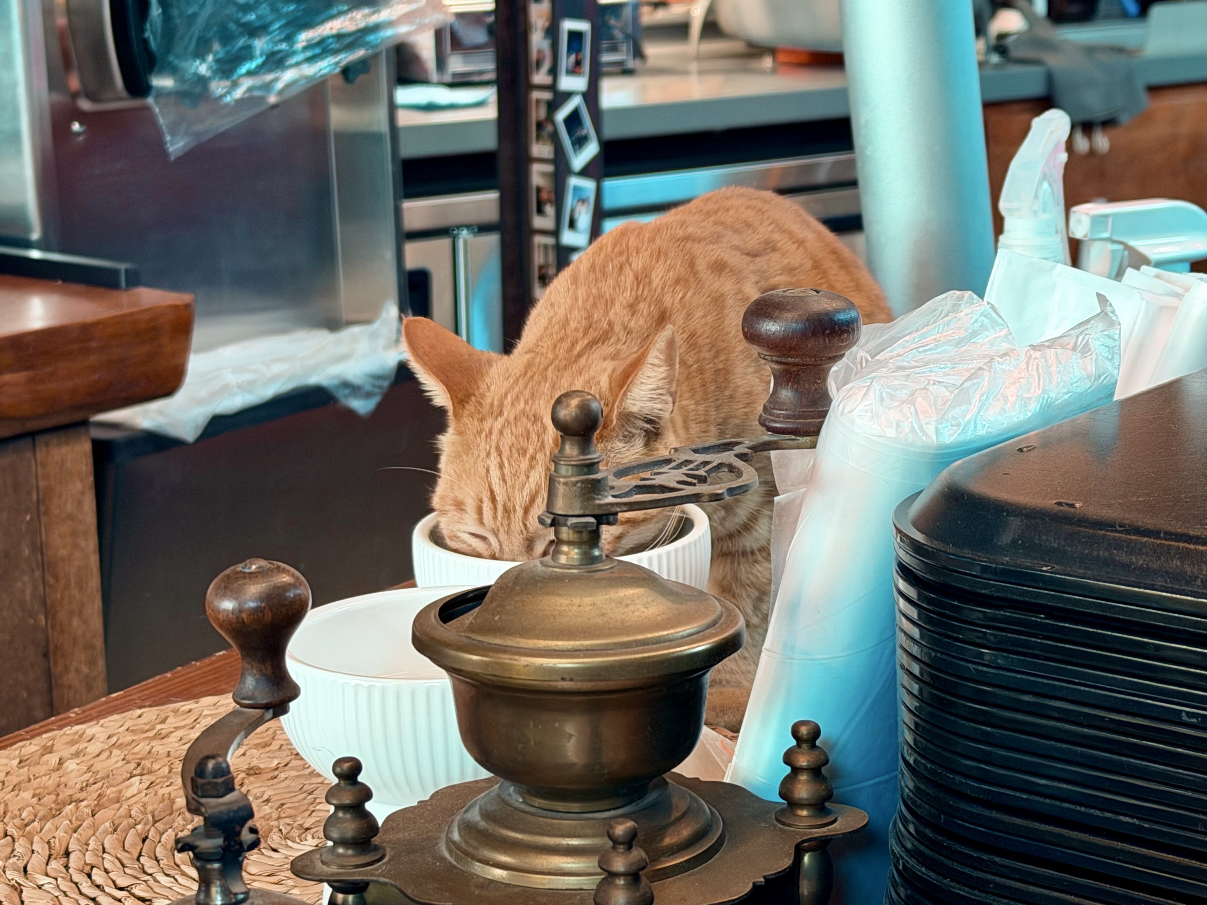 ꤠ 𝑜𝑛. 므야