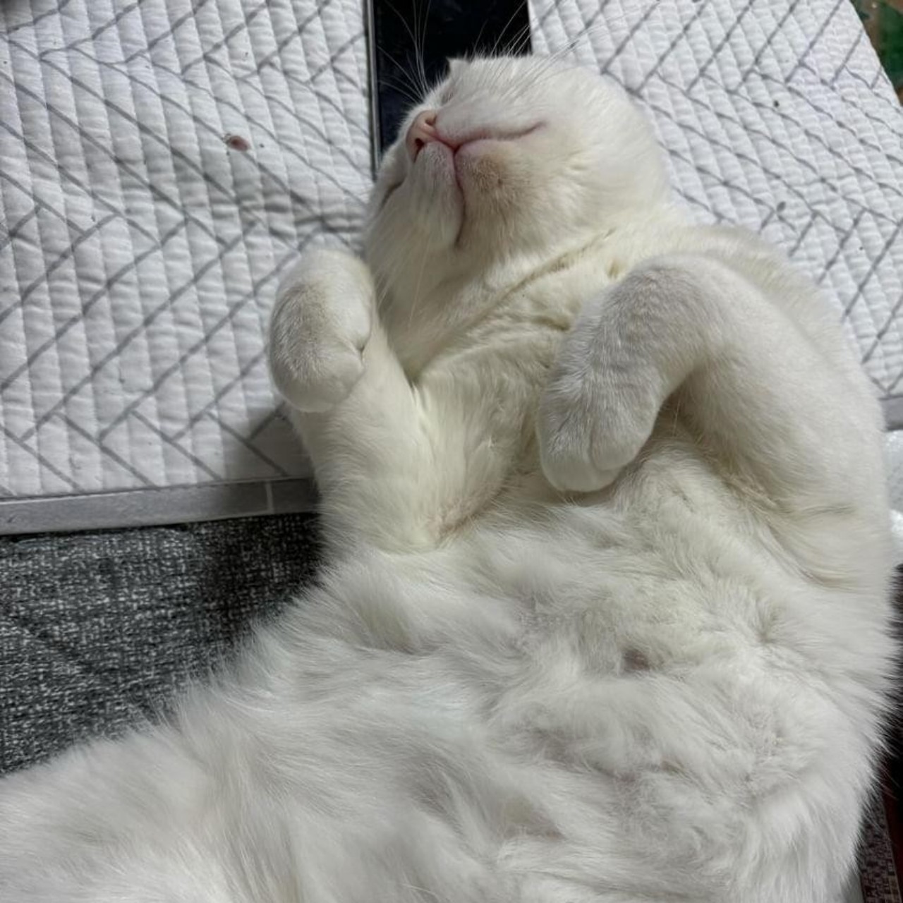 자장가