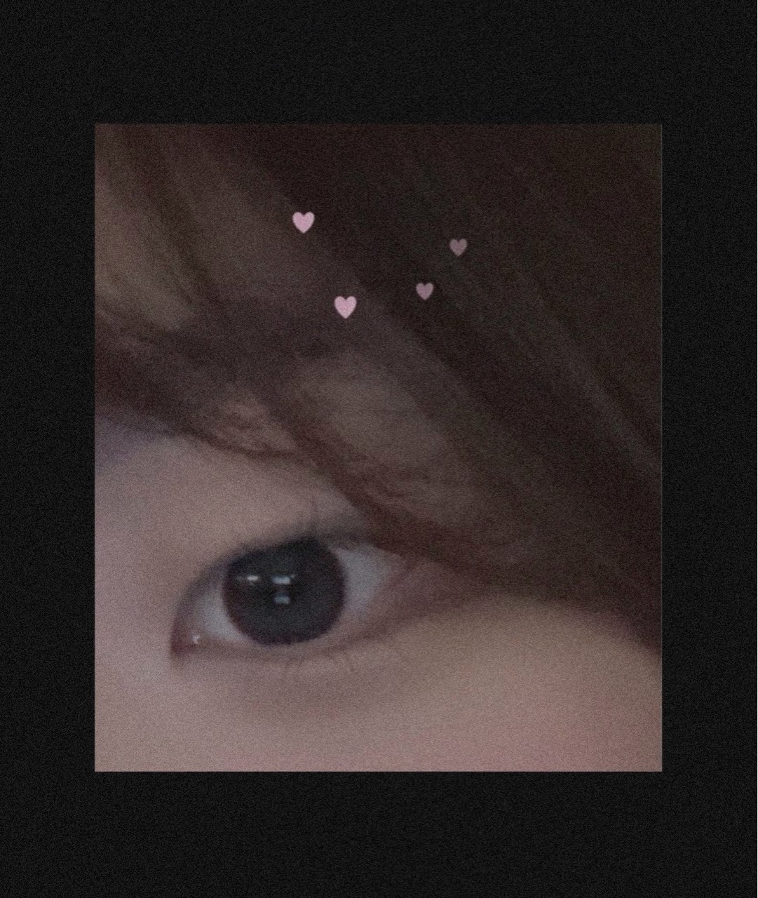 백 희 연