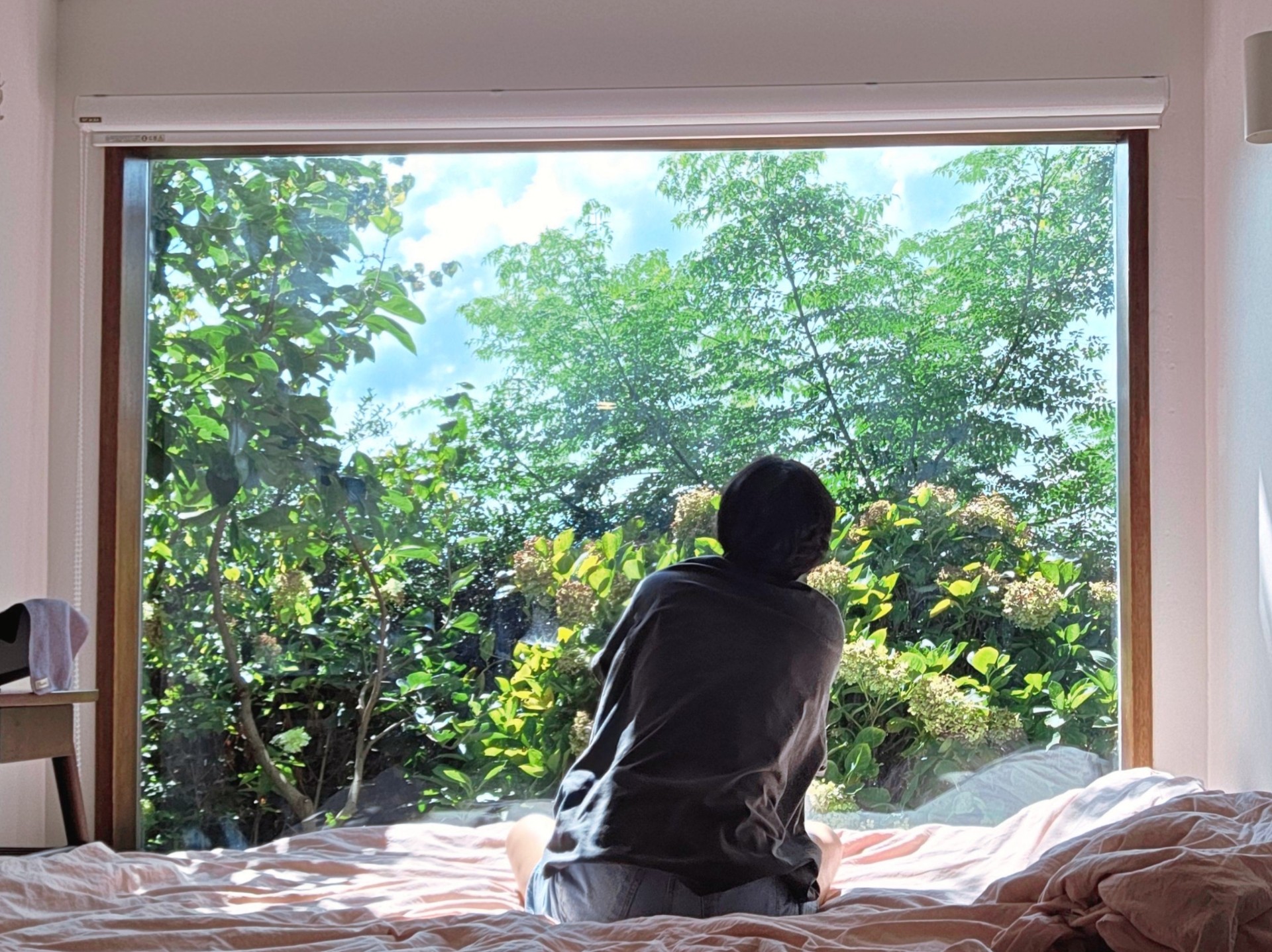 오늘_____🚨°