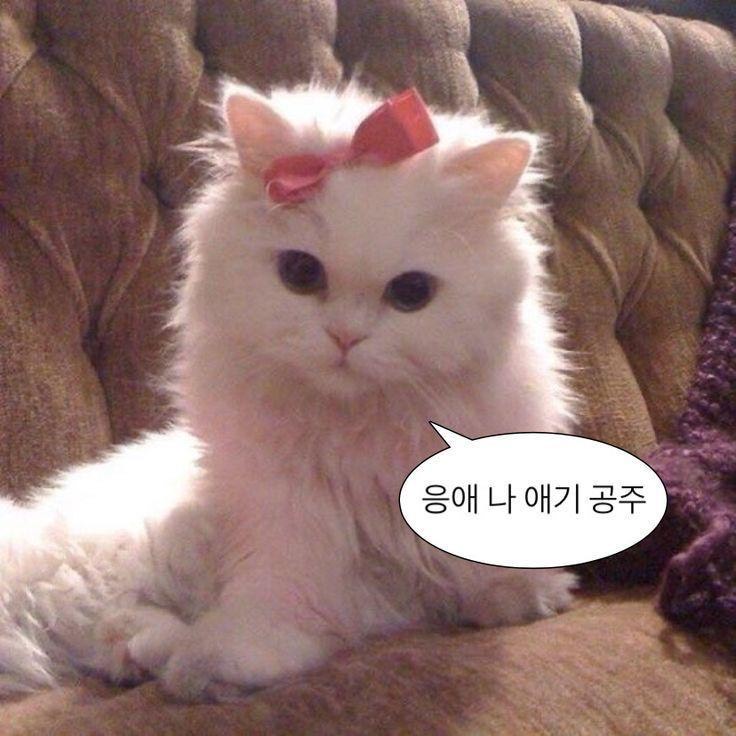 뺙