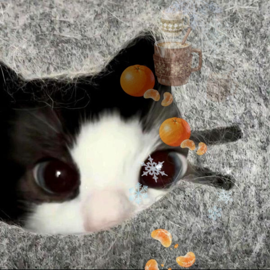 連 연듀부  ࣪𓈒 