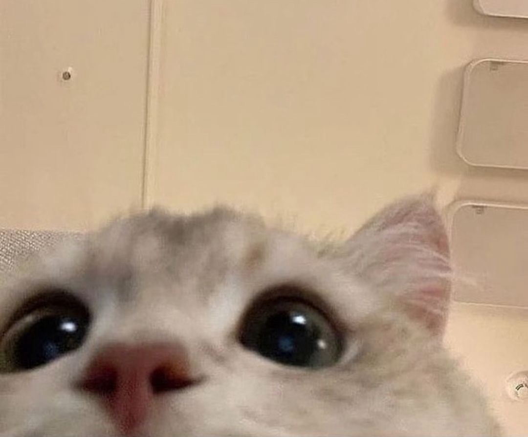 520