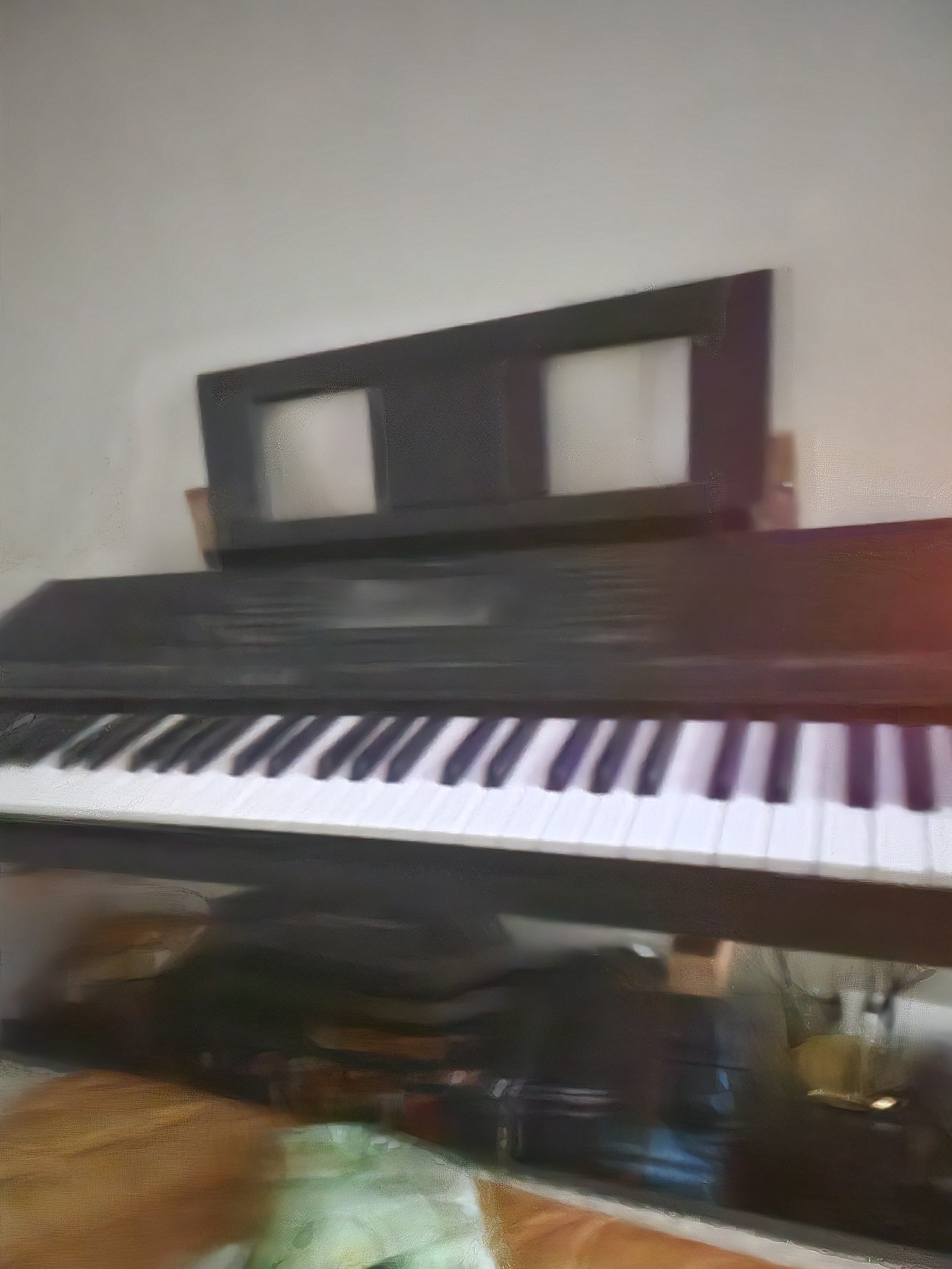 트로트 연주자 02 남 ᴬᴿᴵೀ