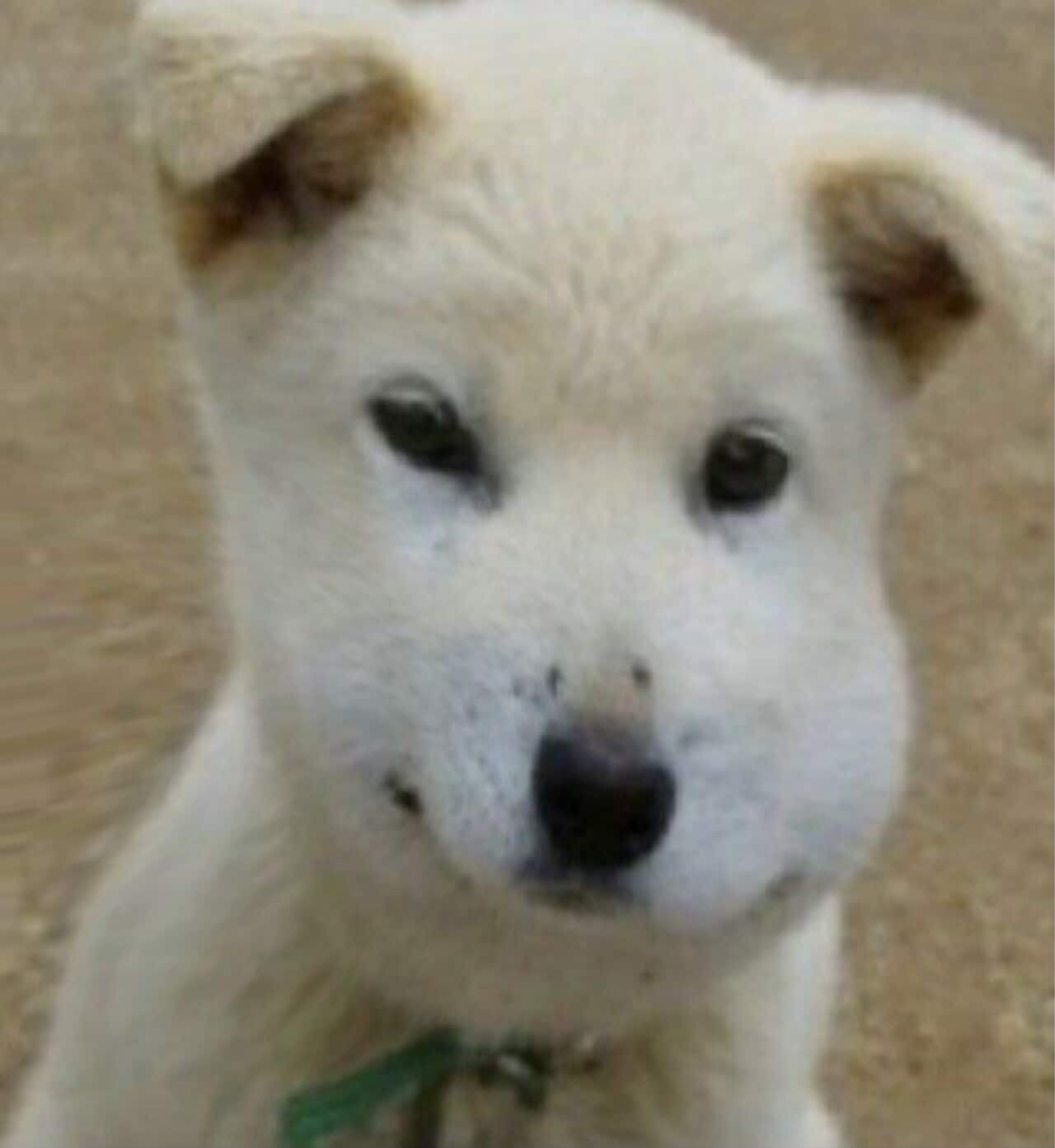 슬은항상그런식이야날늘 ..⊷⸋°