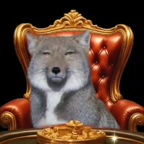 [콘]샐러두_☺︎ີ