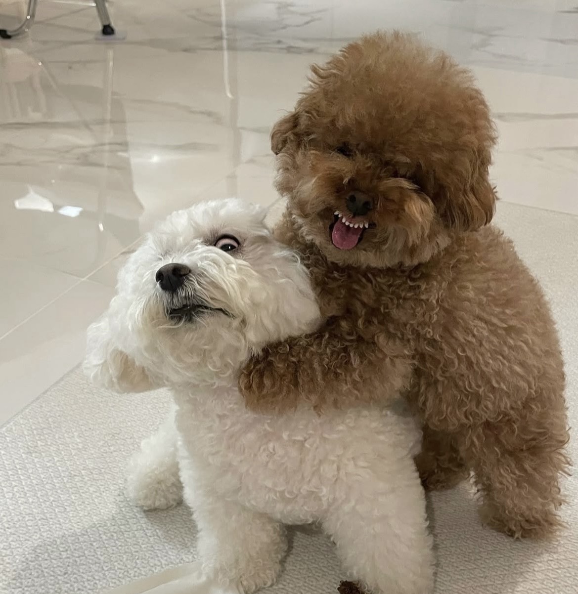 재재