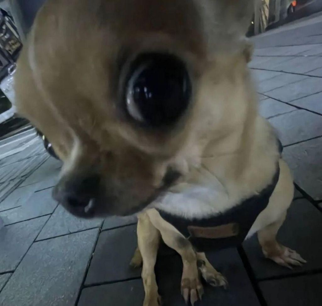 hanjoooo