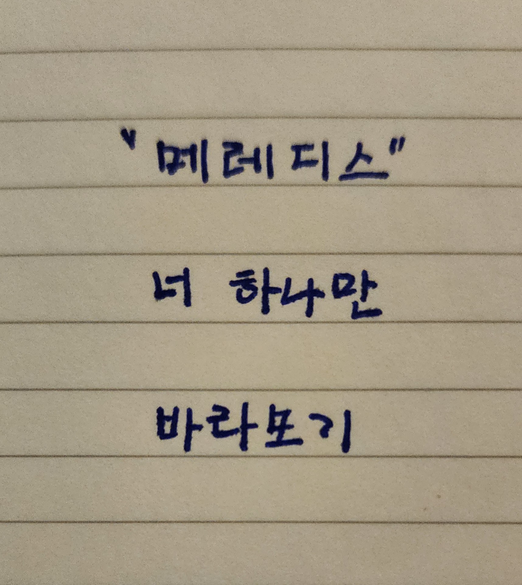 메레디스의 샤론스댕  •°𝘊 
