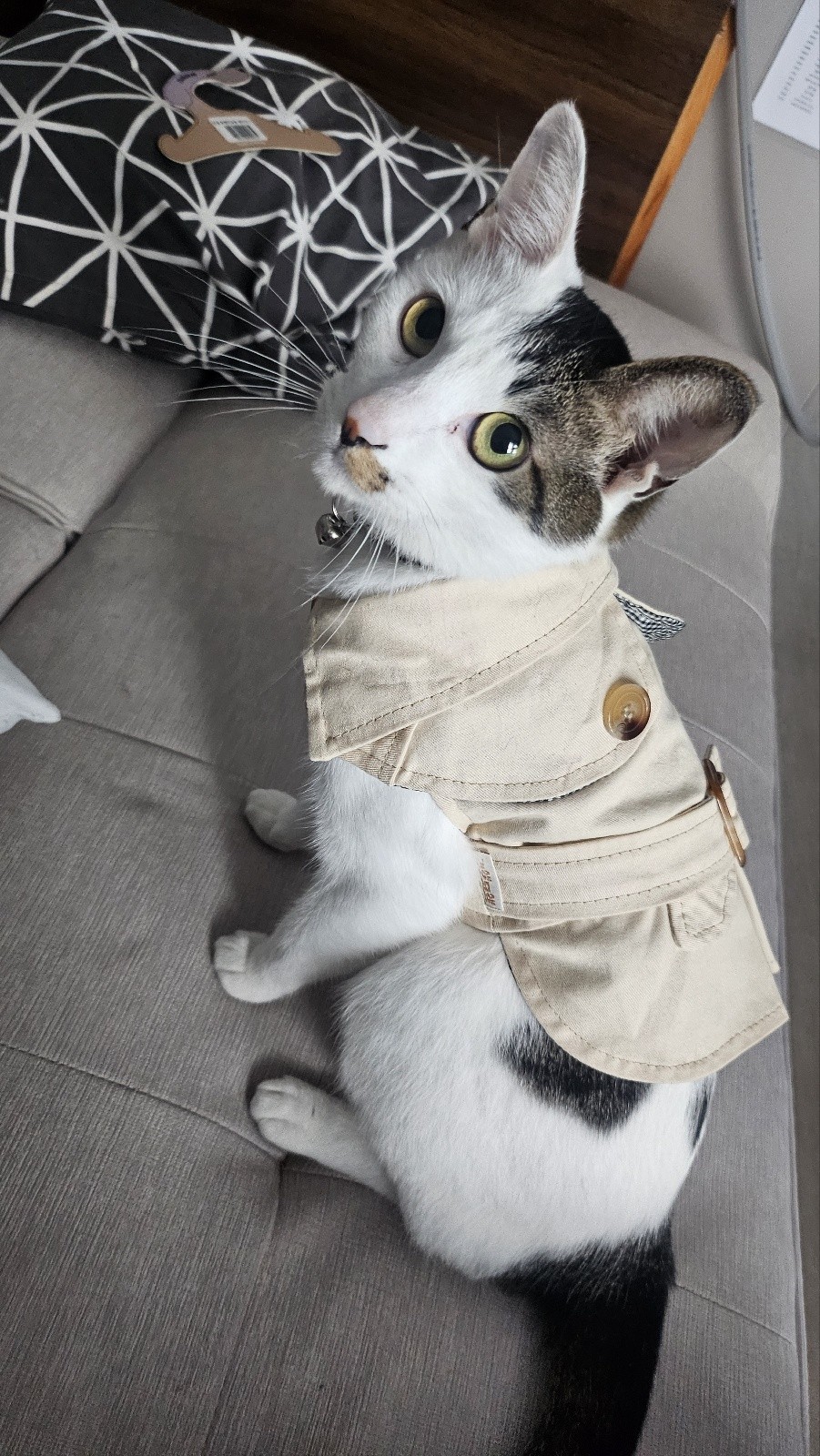 𝔸ℝℂ_ű단미.•ᴸᵒᵛᵉጾጽ