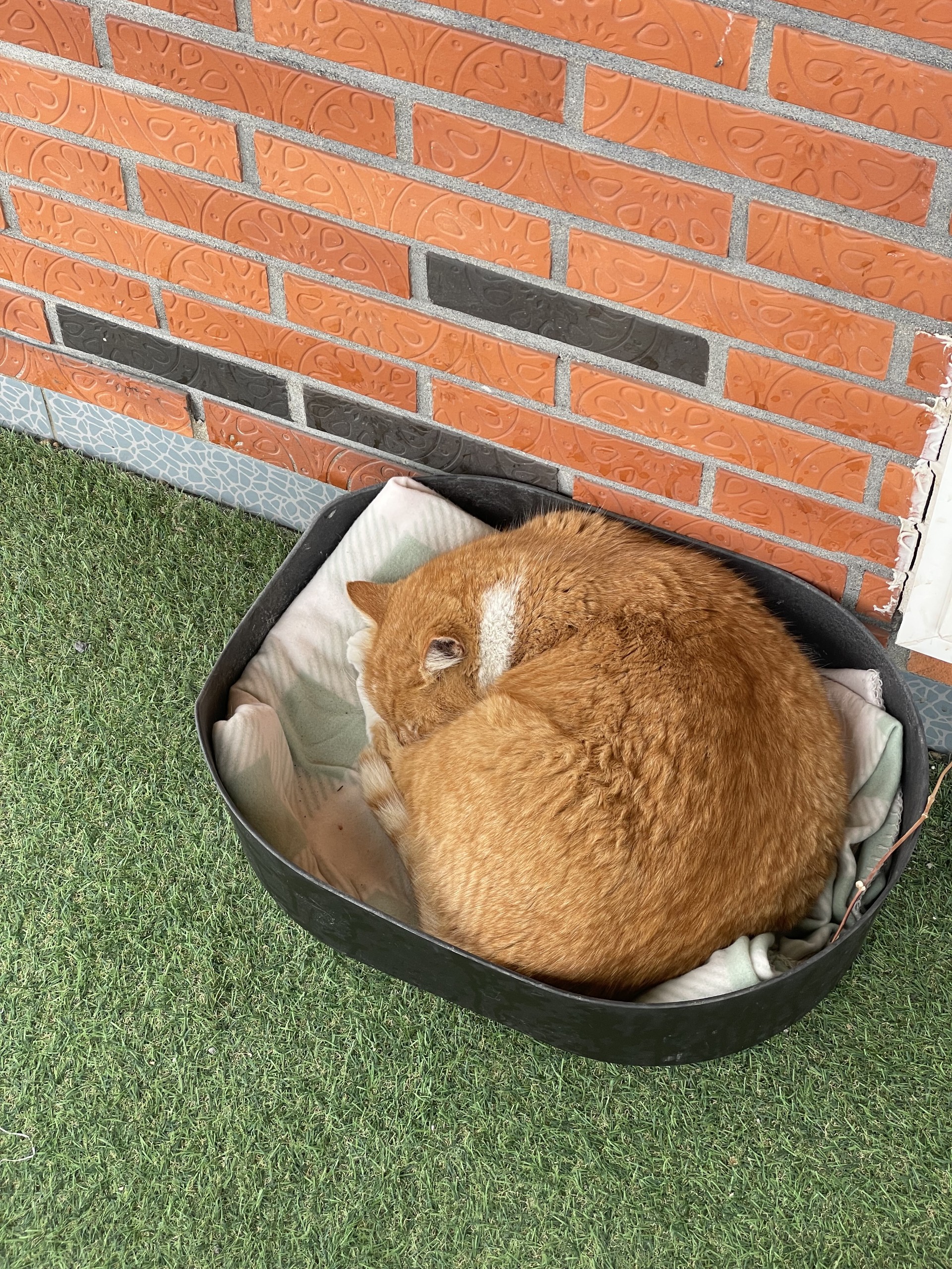 스푼 | 노래방 검색 결과