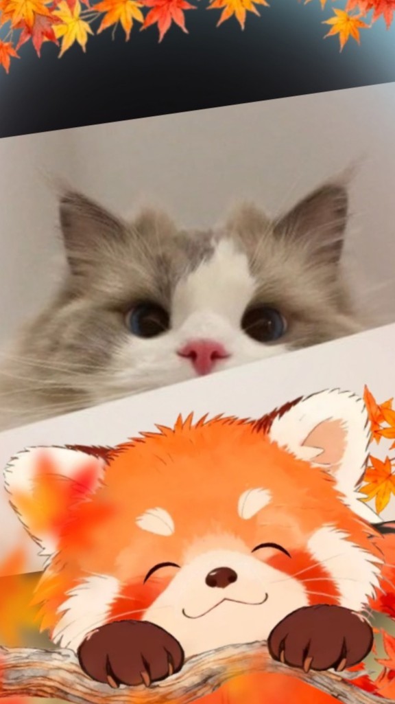 ⠋ 연 나 ⨾ ଳ ⣠