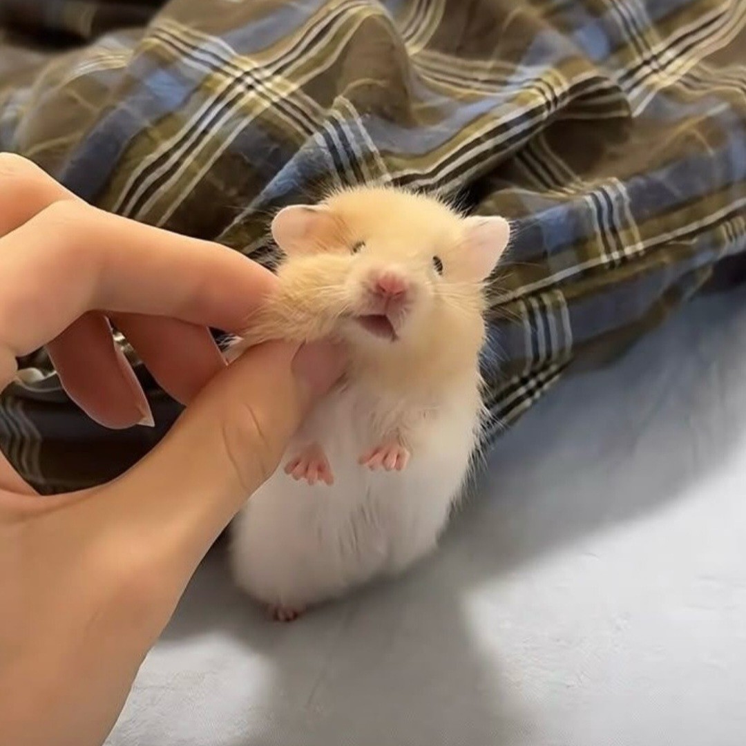 921