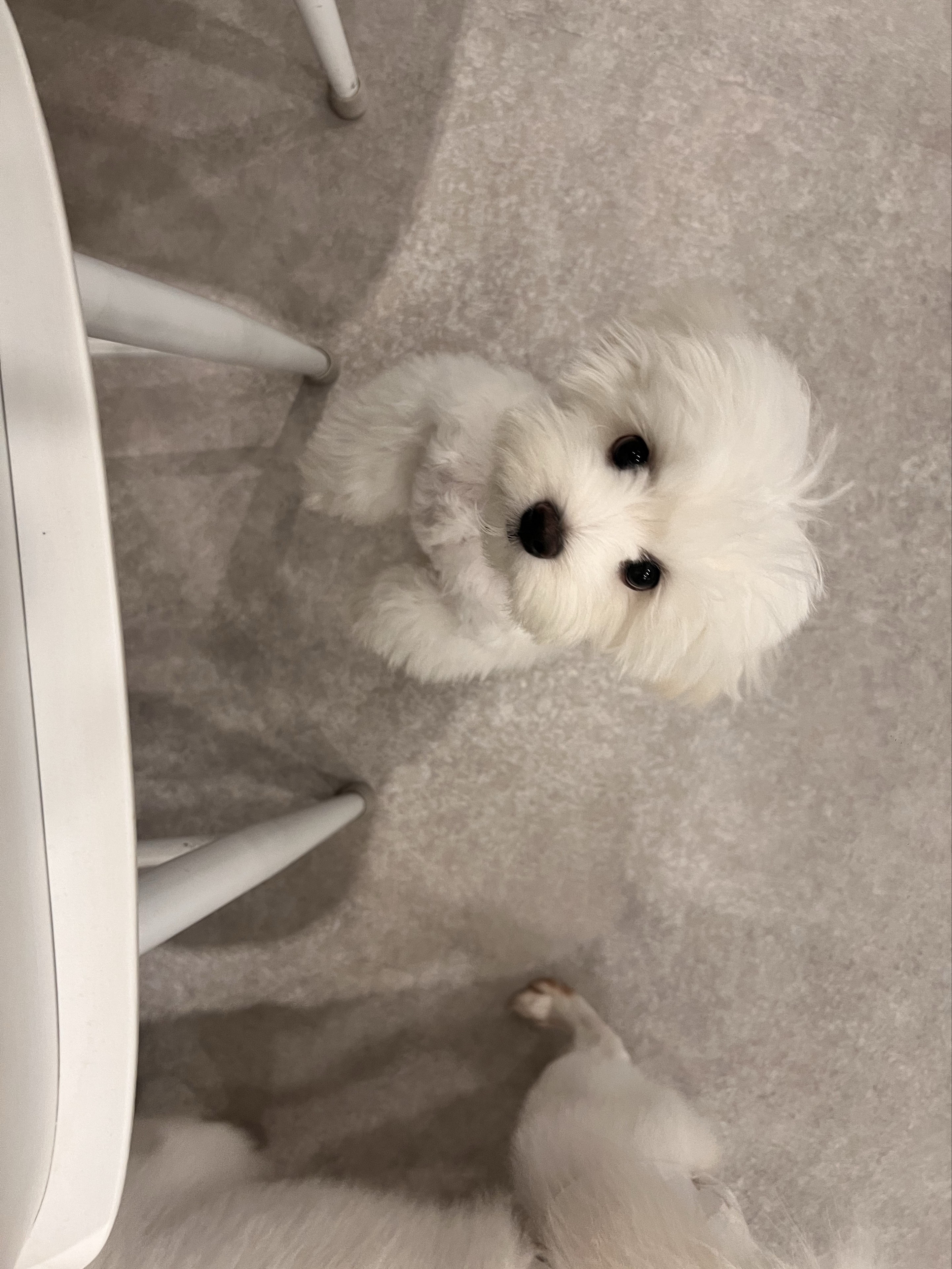 Ⓗ 떼 꽁