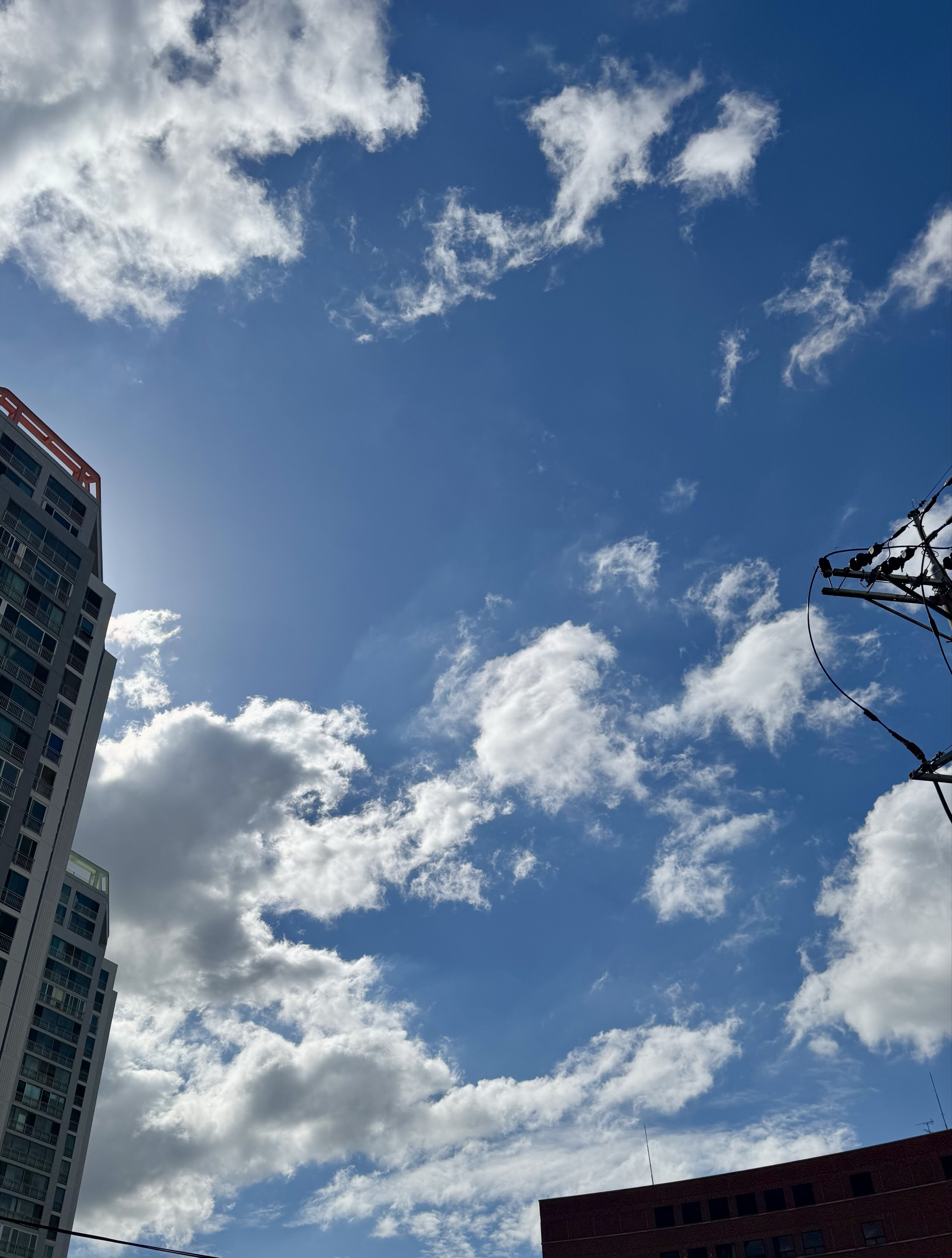 연 ૮.•ﻌ•ა