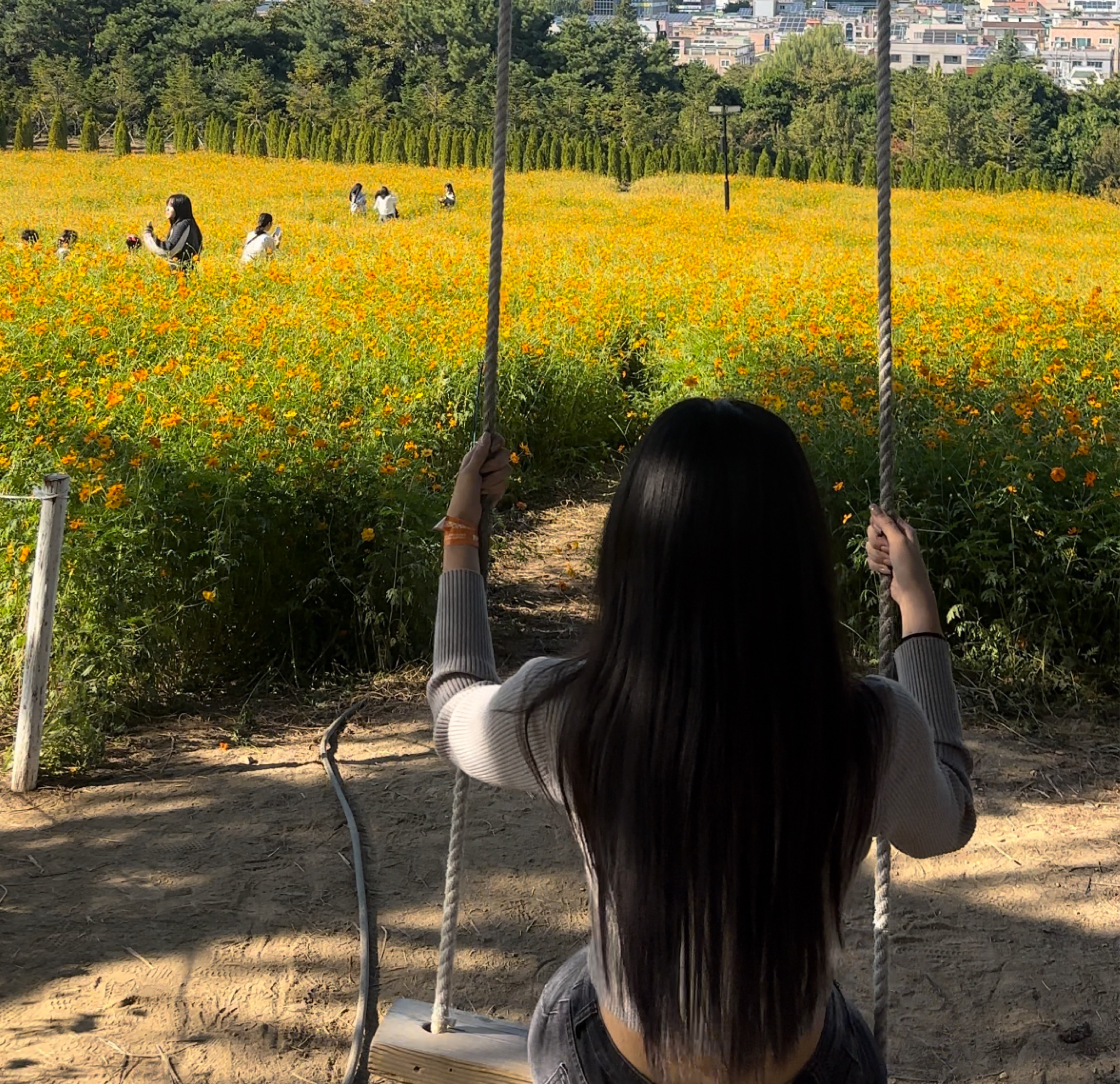 이 다