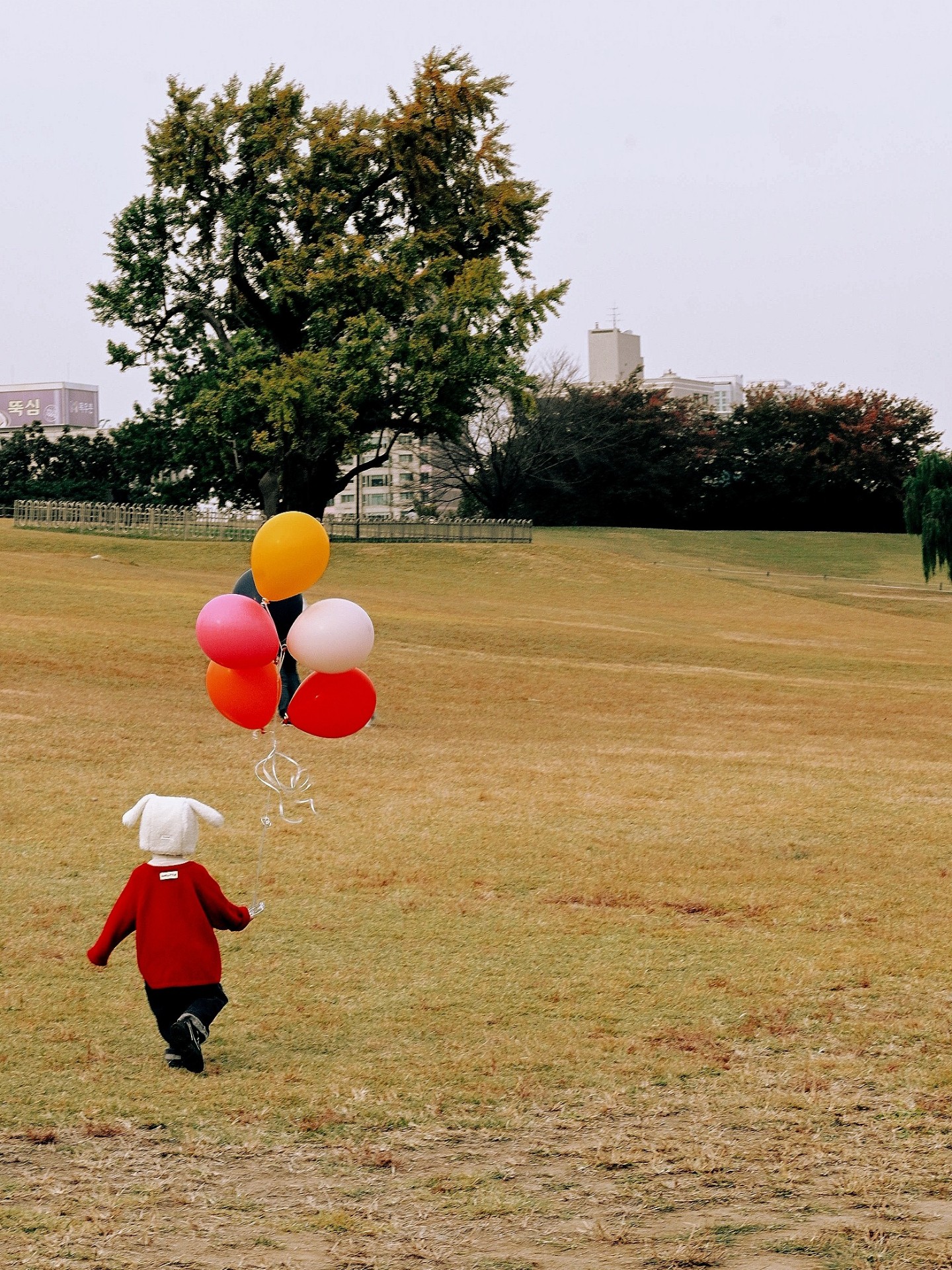 상어 ᶜᵃᵗ 🐈‍⬛