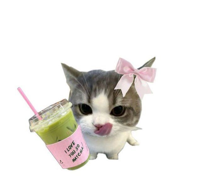 ☁️솜사탕🍬💜🐈‍⬛