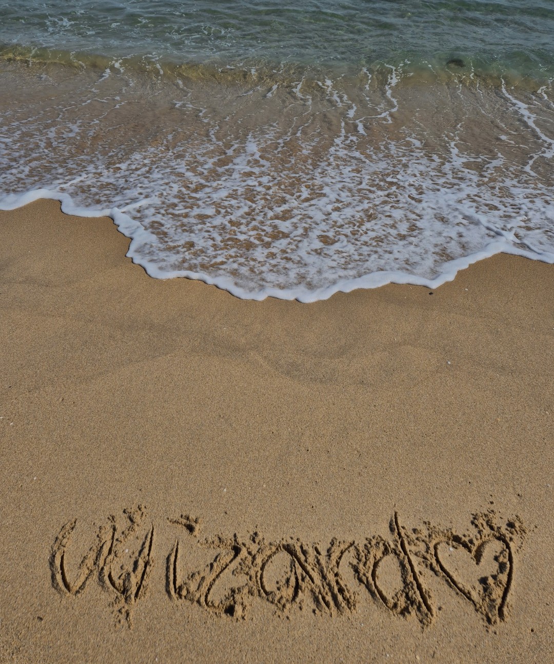 메레디스의 법사 📖