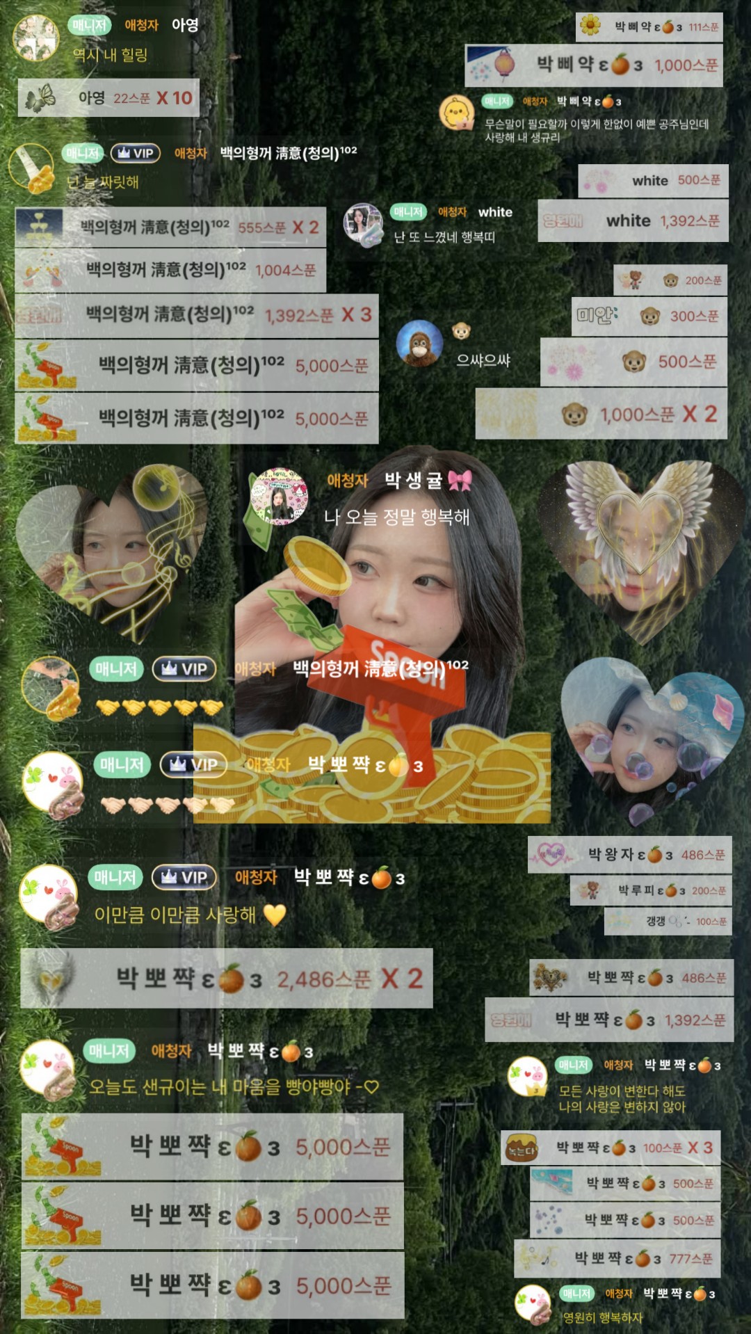 박 생 귤 🎀