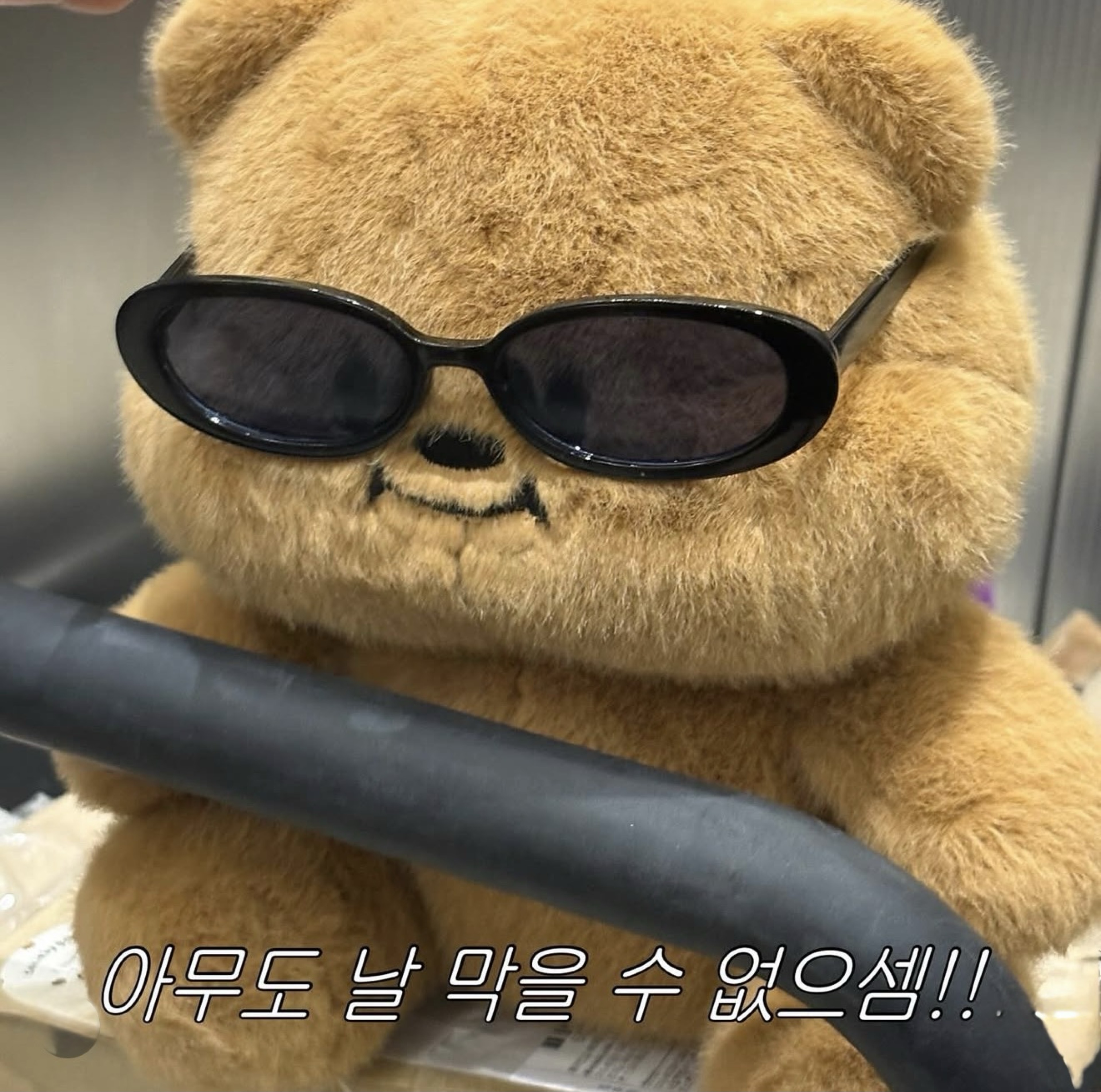 🌠루나만의 니모꙳🌠