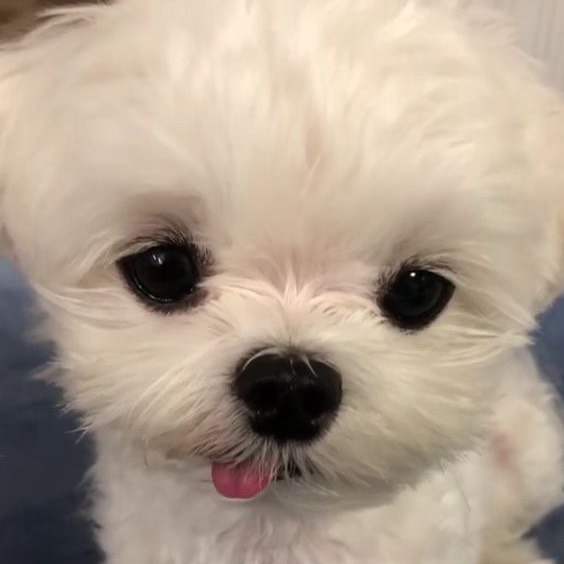 별소리