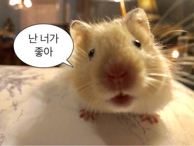 👼🏻ིྀ 김 노 을 *⸌☻ᩚັᩚັ⸍*