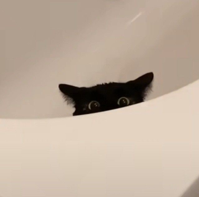 ❤︎.˖ 𝘎𝘺𝘦𝘰𝘭