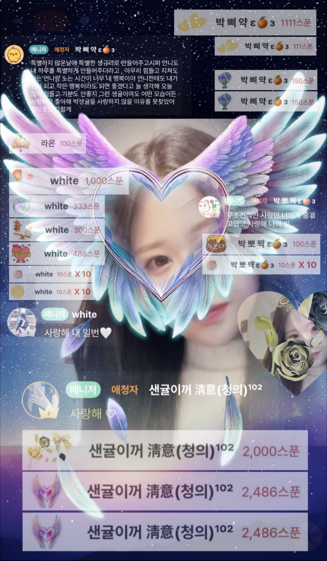 박 생 귤   🎀