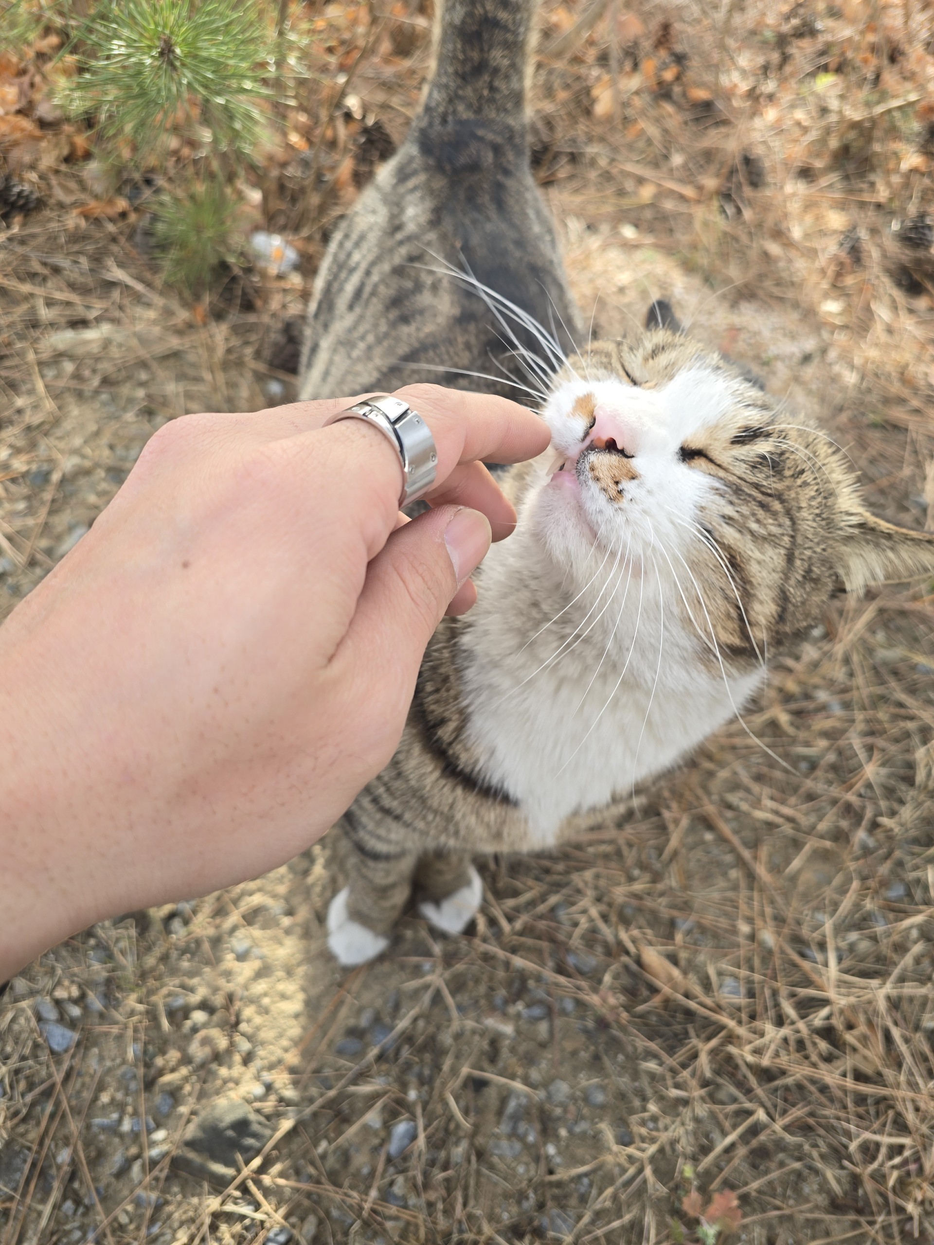 𝙷𝚘𝚛𝚊 𐴑ꯦ