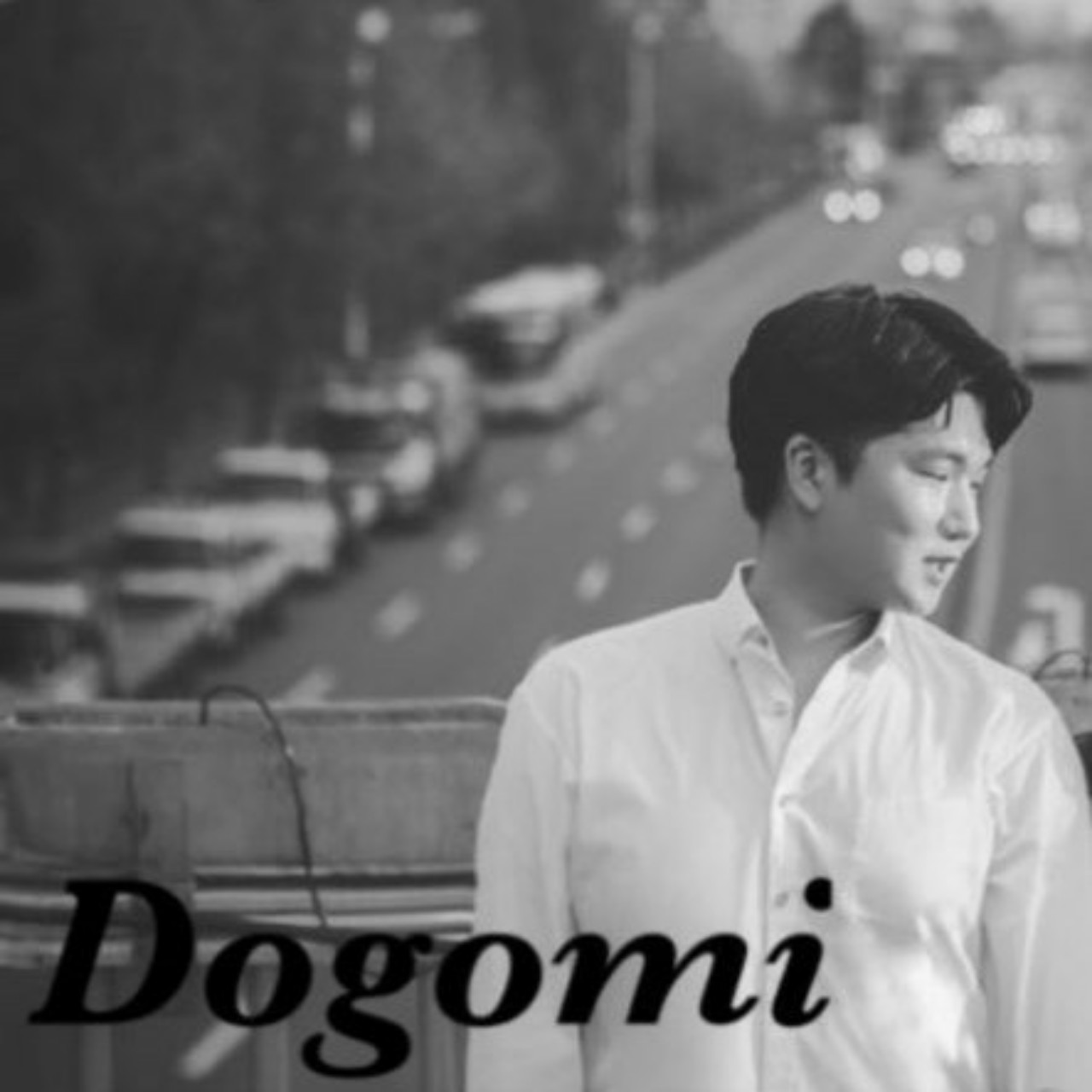 도 고 미 서하아빠