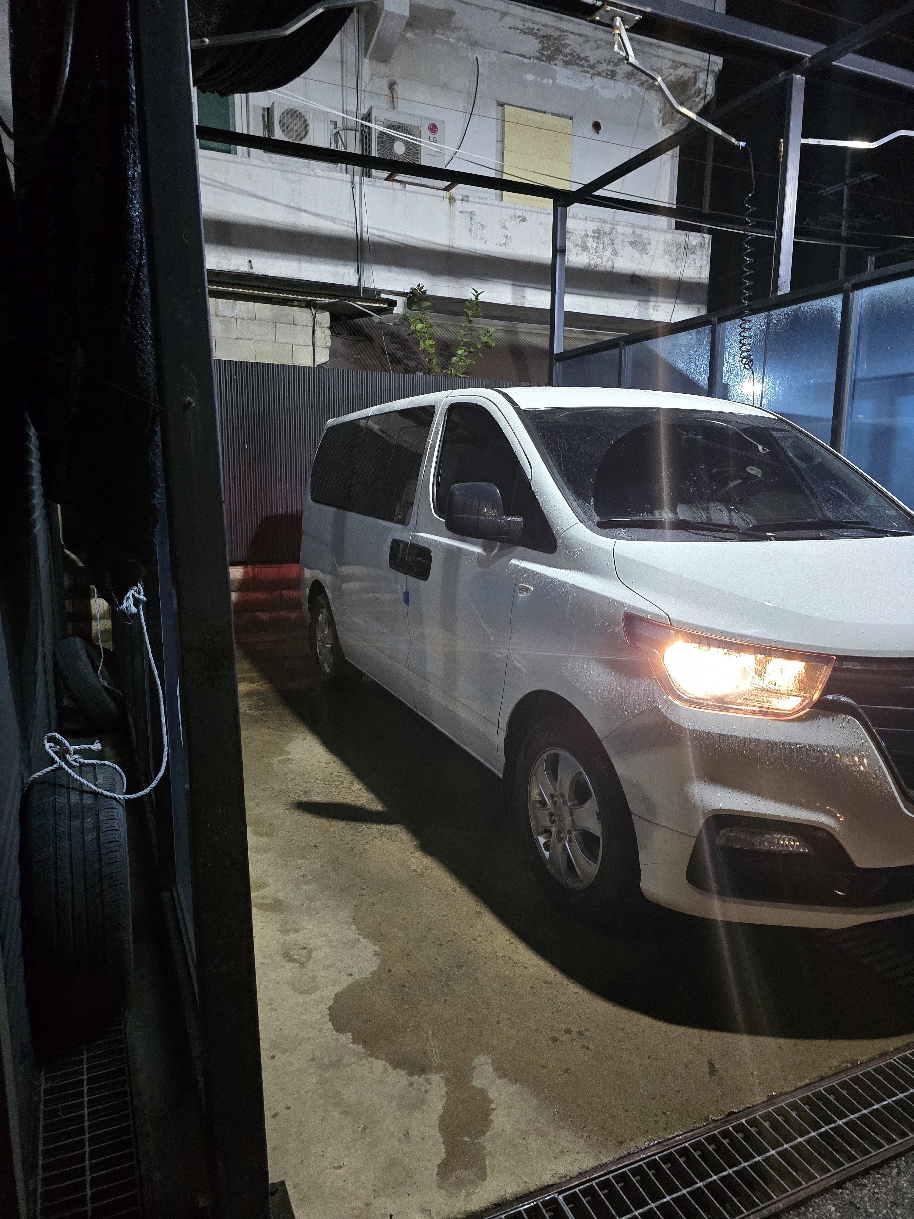 귤바라기 까치🍊