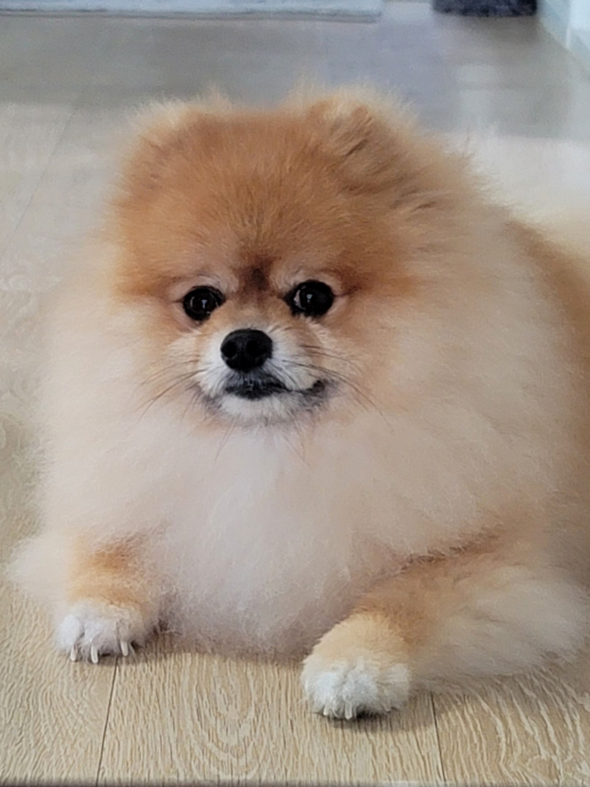 초코𐦍°