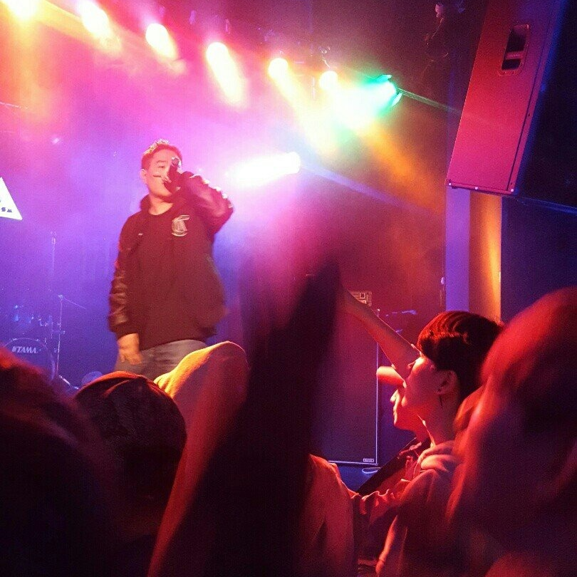 하마𓄁     °𝘊