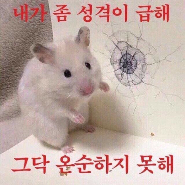 멍티슈ઐツ๑