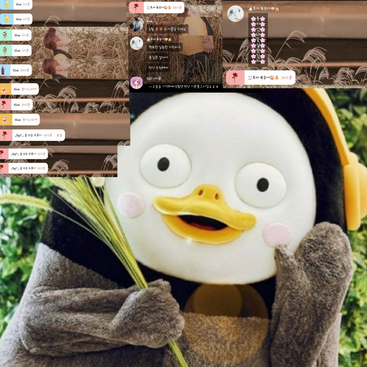 v통키v