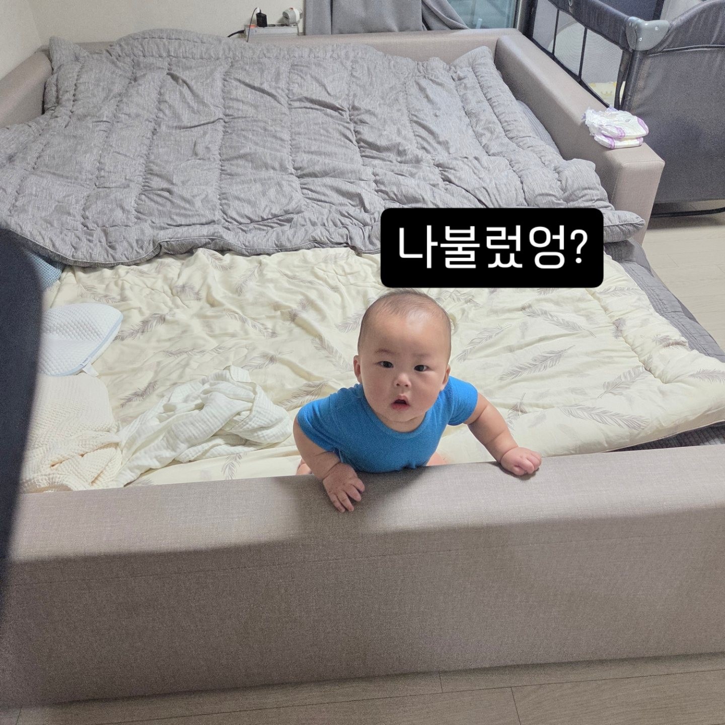 87년산 성대🐇