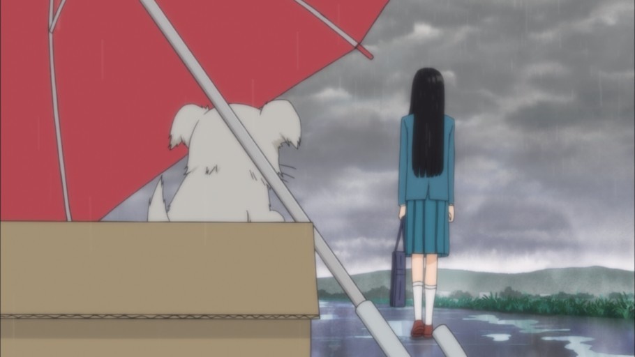 푸비 ű