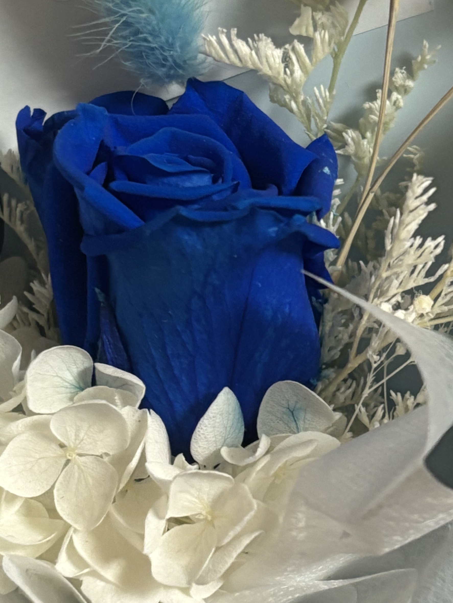 ‍‍‍‍‍‍‍‍‍‍‍소리니 부계♤