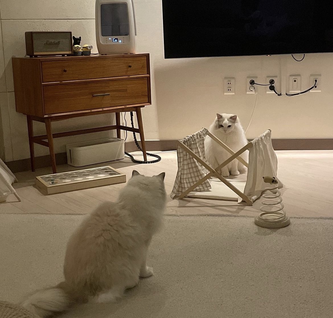 𝑩𝑬𝑩𝑨𝑵 𝑭𝑰𝑺𝑯𝑬𝑹 ❤︎́