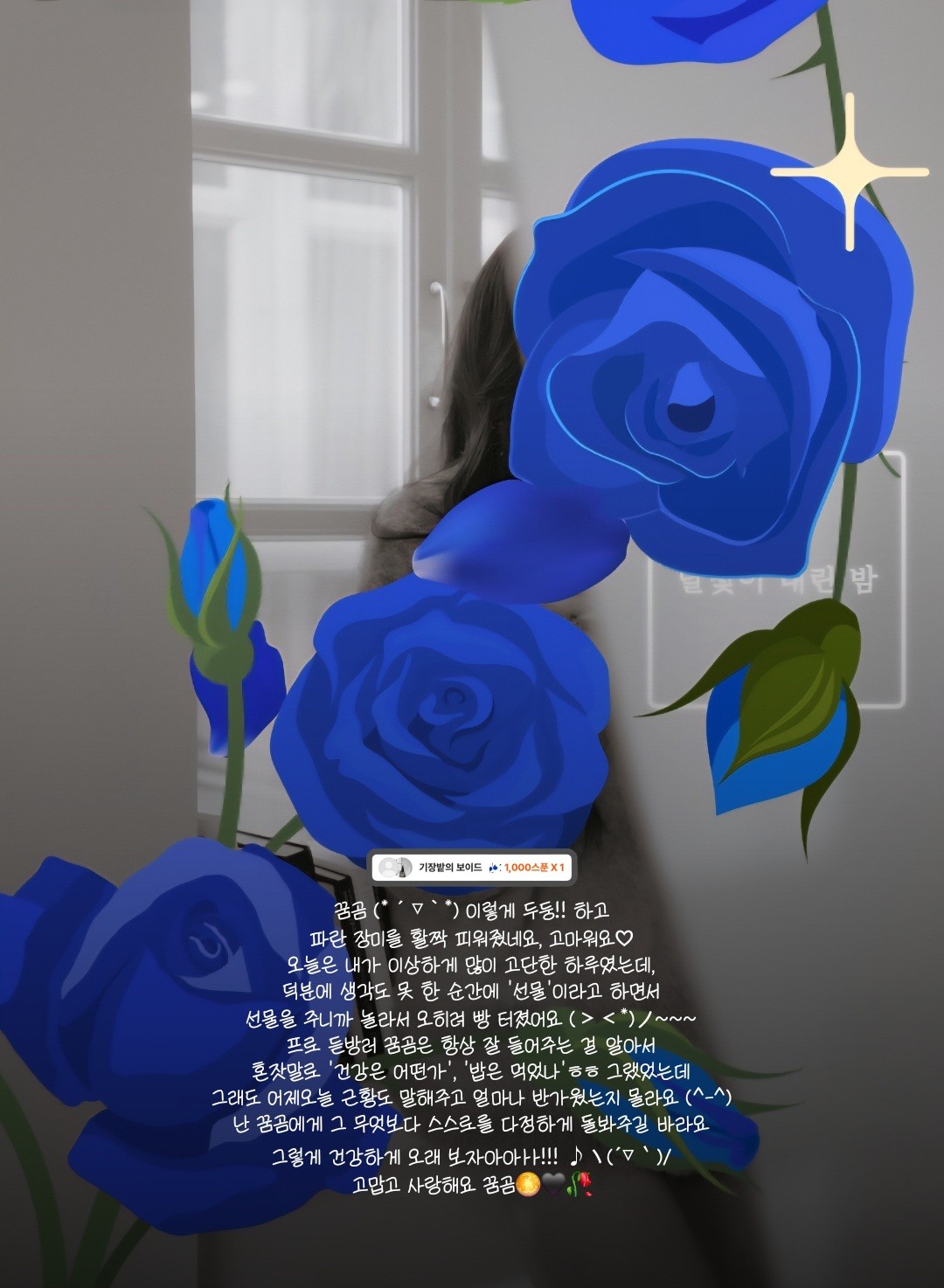 ⊹᭡  𝓜𝓲𝓪