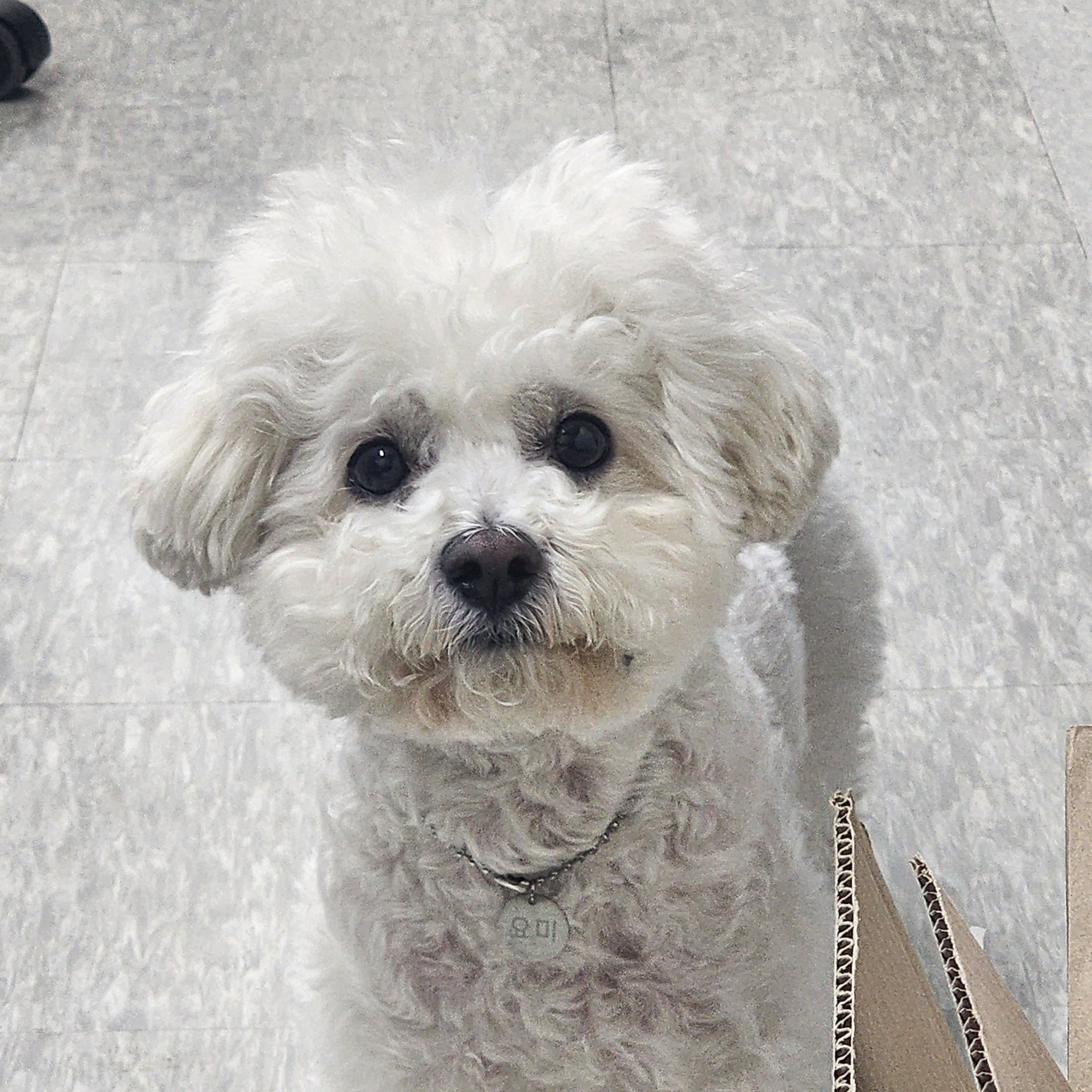 오늘도맑음