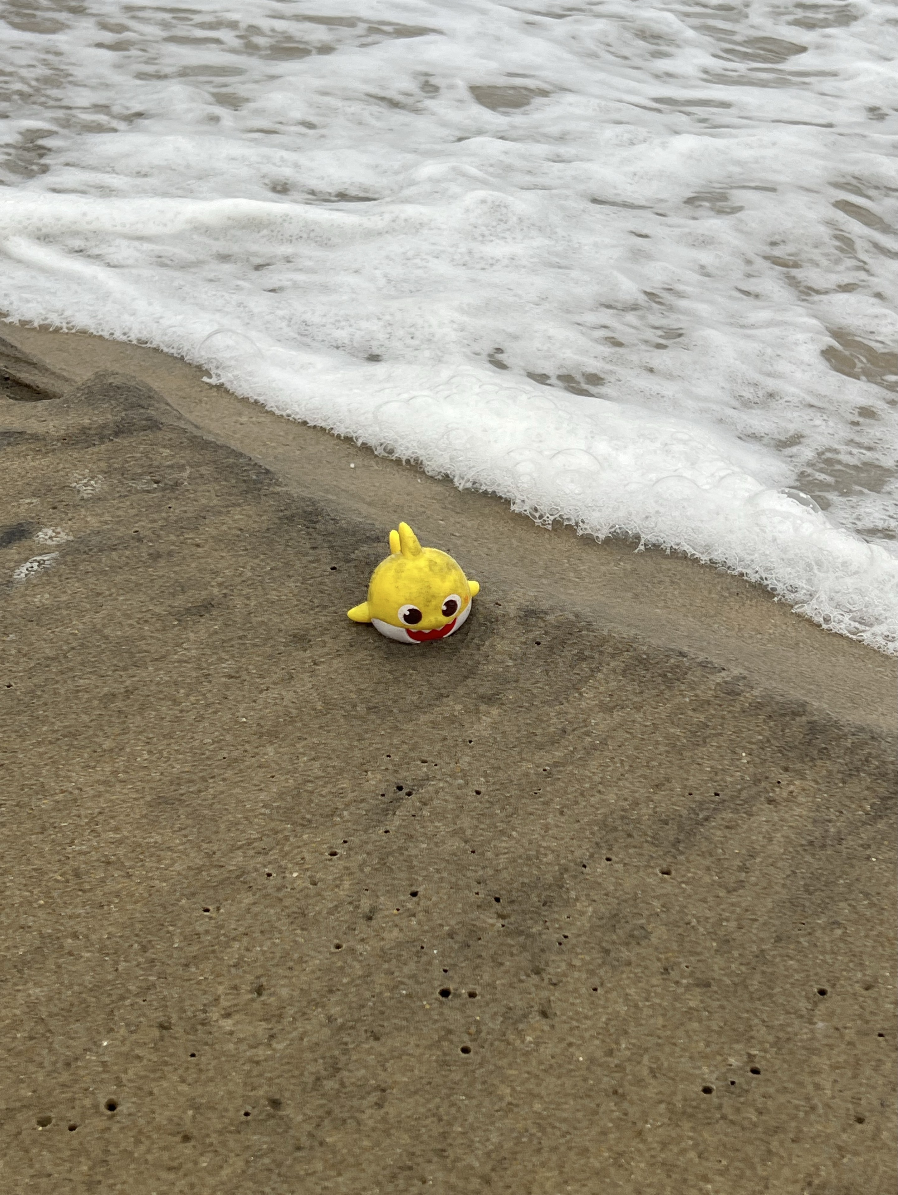 x 아이고 뚜야 x